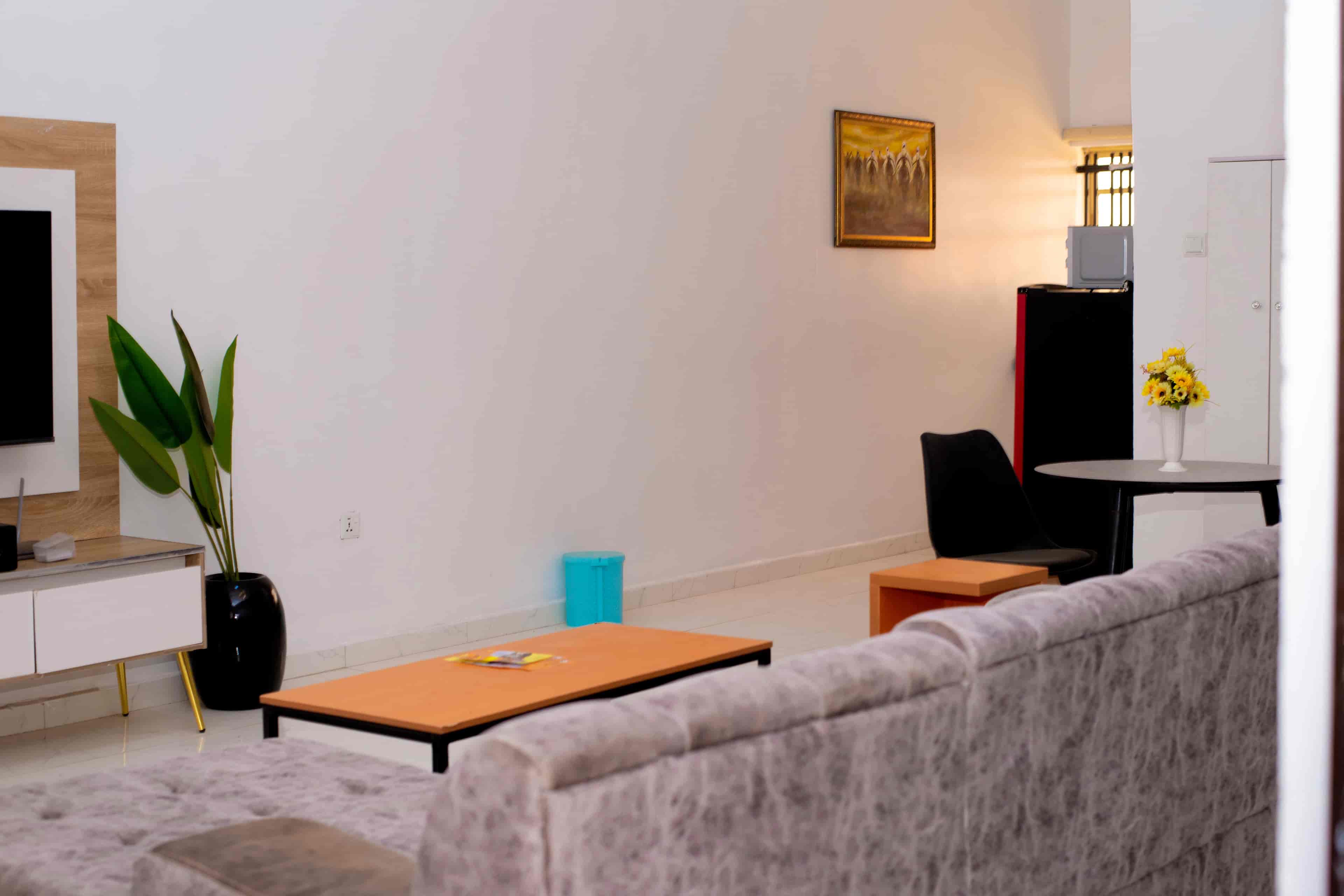 Modern & comfortable living room